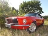 Ford Mustang Cabriolet, so wie es sein sollte! - Ford Mustang Oldtimer mit Benzin-Antrieb: Cabrio