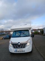 Ahorn Kentucky - Ahorn Teilintegrierter