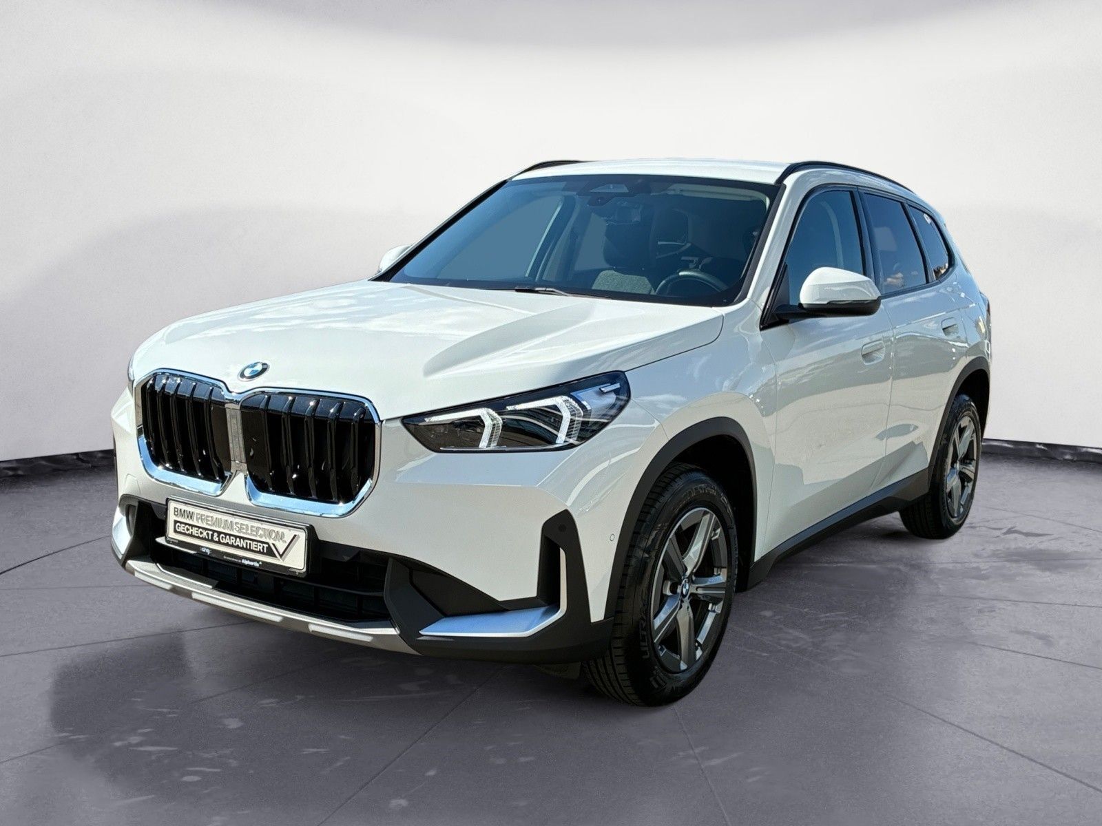 BMW X1 sDrive20i Navi DSG AHK Rückfahrkamera Kurvenl foto 2