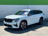 Skoda RS 265PS 4x4 7-Sitze Sitzbelüftung DCC+ STHZ AHK