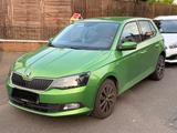 Skoda Fabia 1.2 TSI Drive - 110 PS-Navi-PDC-Gepflgt - Skoda Fabia: Grün