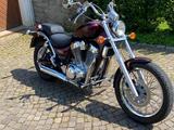 Suzuki VS 1400 - Angebote