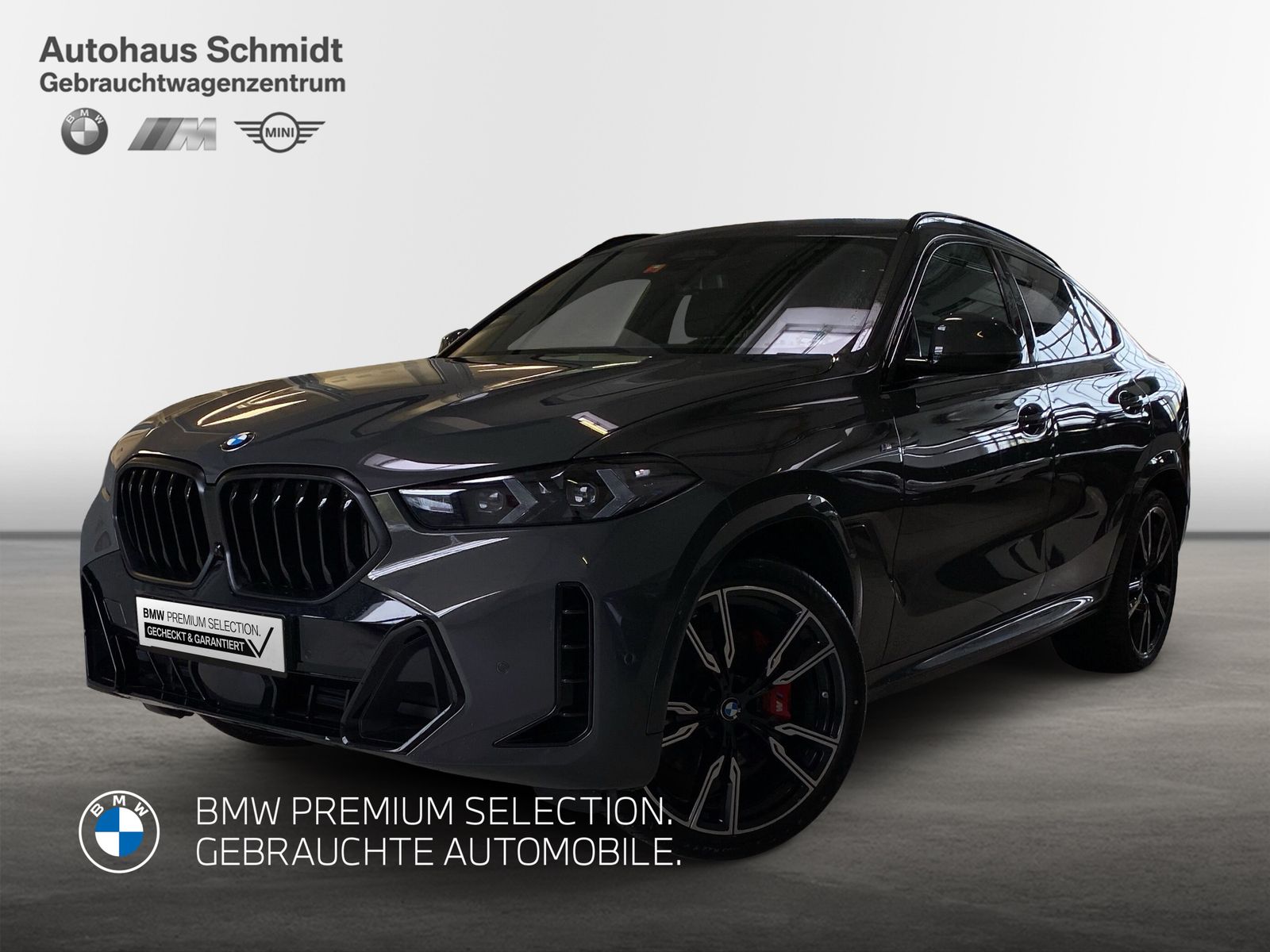 BMW X6 xDrive30d M Sport HK HiFi DAB LED Standhzg.