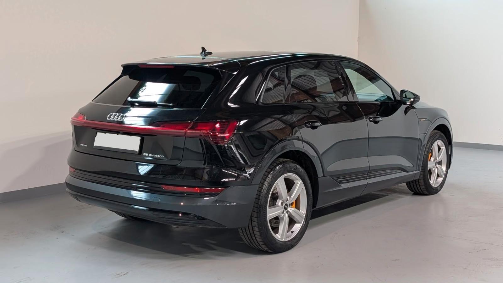 Audi e-tron 55 quattro advanced AIRKAMMEMOPANO20, миниатюра 6