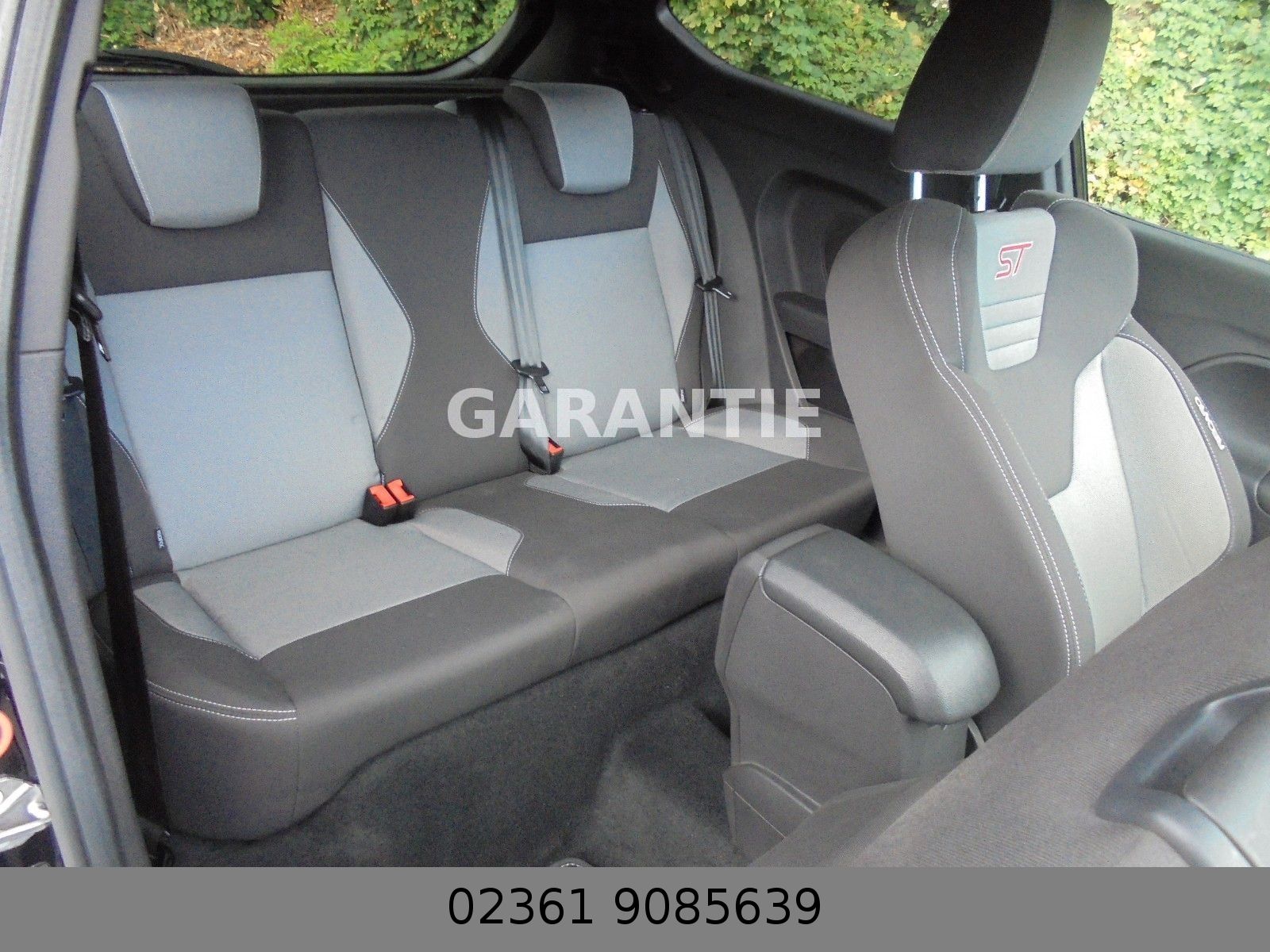 Fahrzeugabbildung Ford Fiesta ST Mega Optik