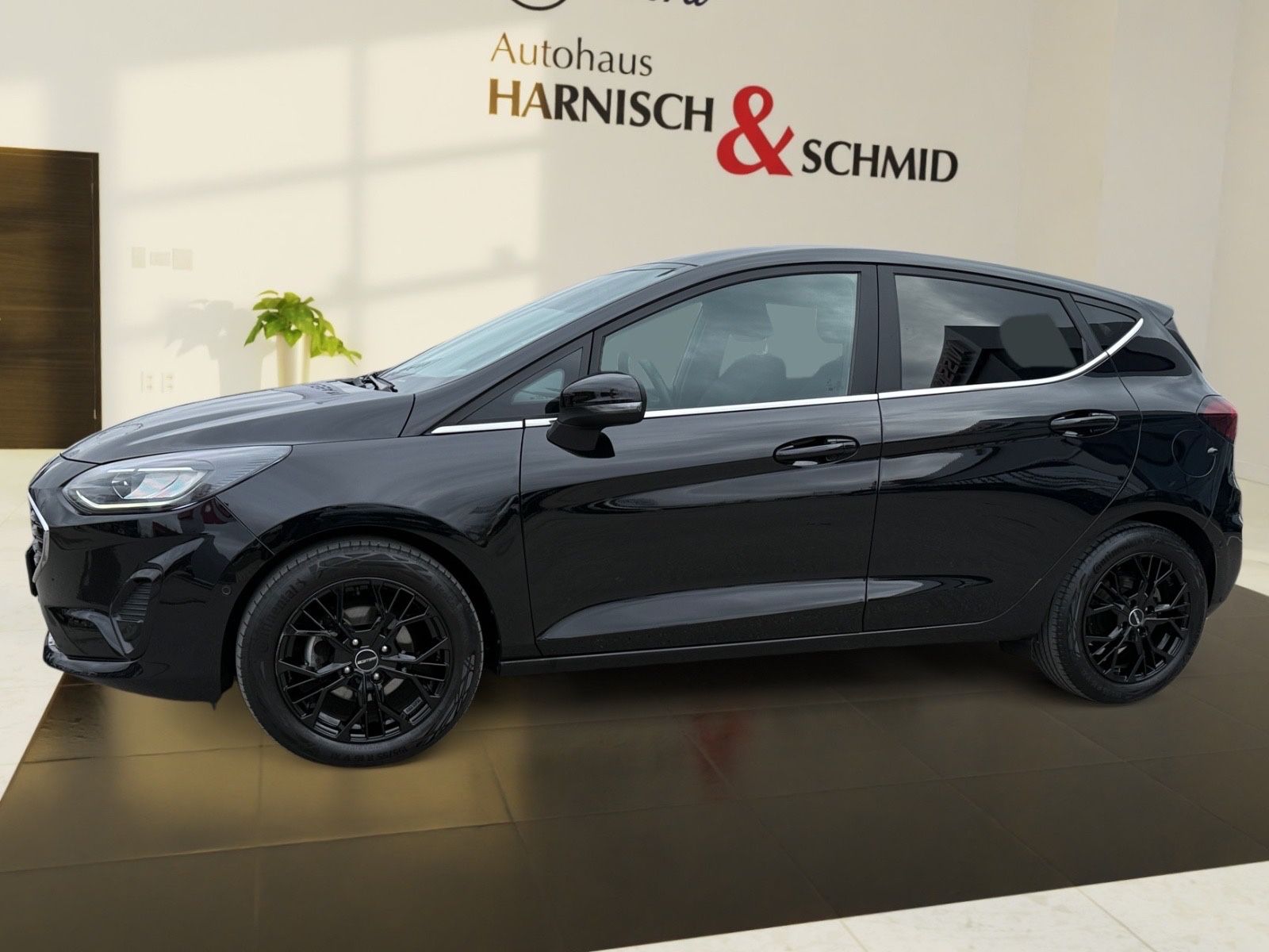Fahrzeugabbildung Ford Fiesta Titanium X Navi