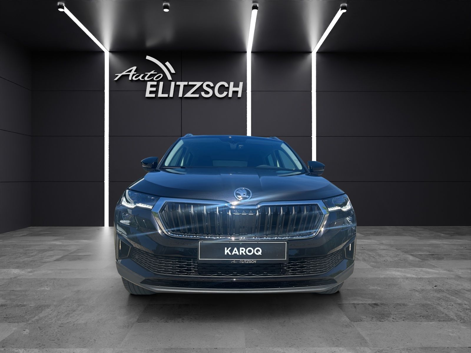 Fahrzeugabbildung SKODA Karoq 2.0 TDI Tour MATRIX AHK