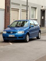 Volkswagen VW Polo 1.4 Wenig KM / Vieles neu / Scheckheft - Volkswagen Polo aus 2001: 1.4