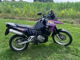 Suzuki Dr 800 Big SR 43B - Angebote entsprechen deinen Suchkriterien