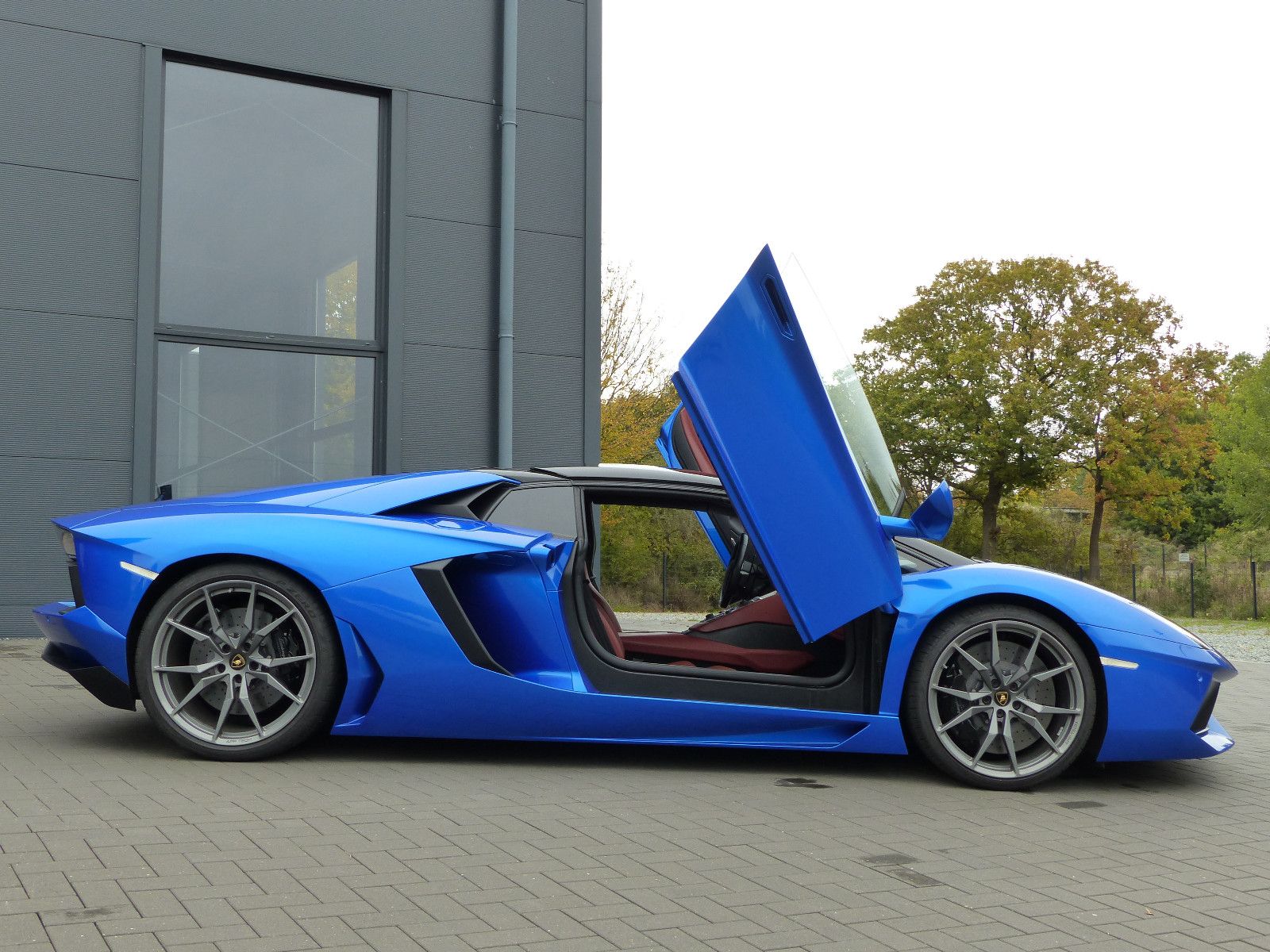 Fahrzeugabbildung Lamborghini Aventador LP 700-4 Roadster