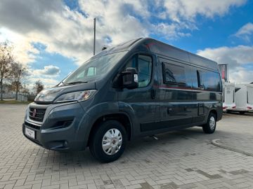 Fahrzeugabbildung Roller Team Livingstone 2  Sport - sofort!