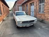Ford Mustang 1965 / 289 V8