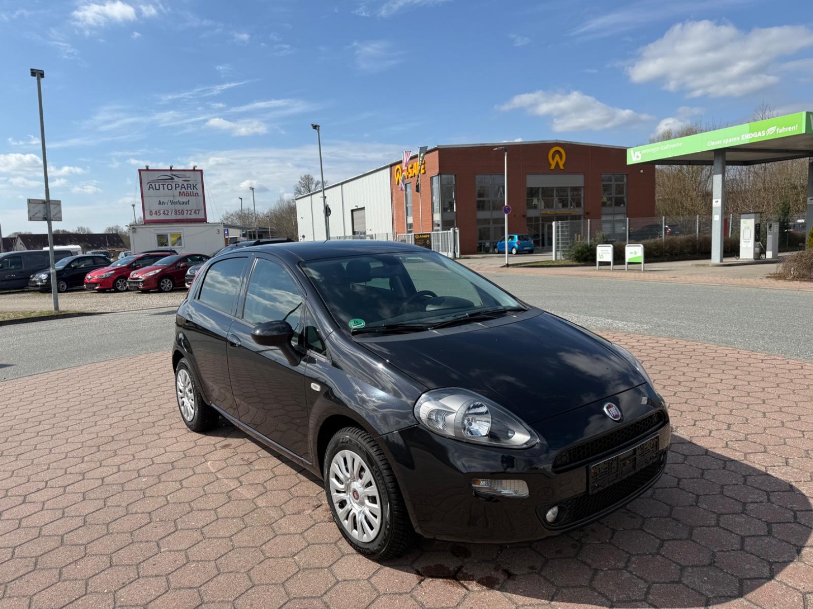 Fiat Punto More