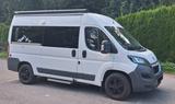 Peugeot Boxer - Familie/Freizeit/Camperbus | vieles NEU