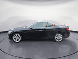 BMW 230i Steptronic Cabrio Luxury Line Sport Aut. - BMW 2er Reihe: Cabrio