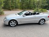 Mercedes-Benz CLK 240 Cabrio Top Zustand - Mercedes-Benz CLK 240: Cabrio