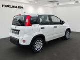 Fiat Panda Hybrid 1.0 GSE,Klima,PDC hinten - Fiat Panda Vorführfahrzeuge