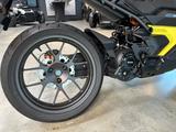 Can-Am Pulse STD 11KW  FSK16 A1 B196 Aktion ! - Can-Am Pulse