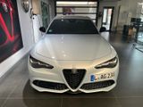 Alfa Romeo Giulia Veloce 2.0l Q4 Perla Lunare - Alfa Romeo Giulia mit Benzin-Antrieb: Automatik