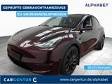 Tesla Model Y Dual Performance Dual AWD Pano S-Dach Wa - Tesla Model Y: Schiebedach