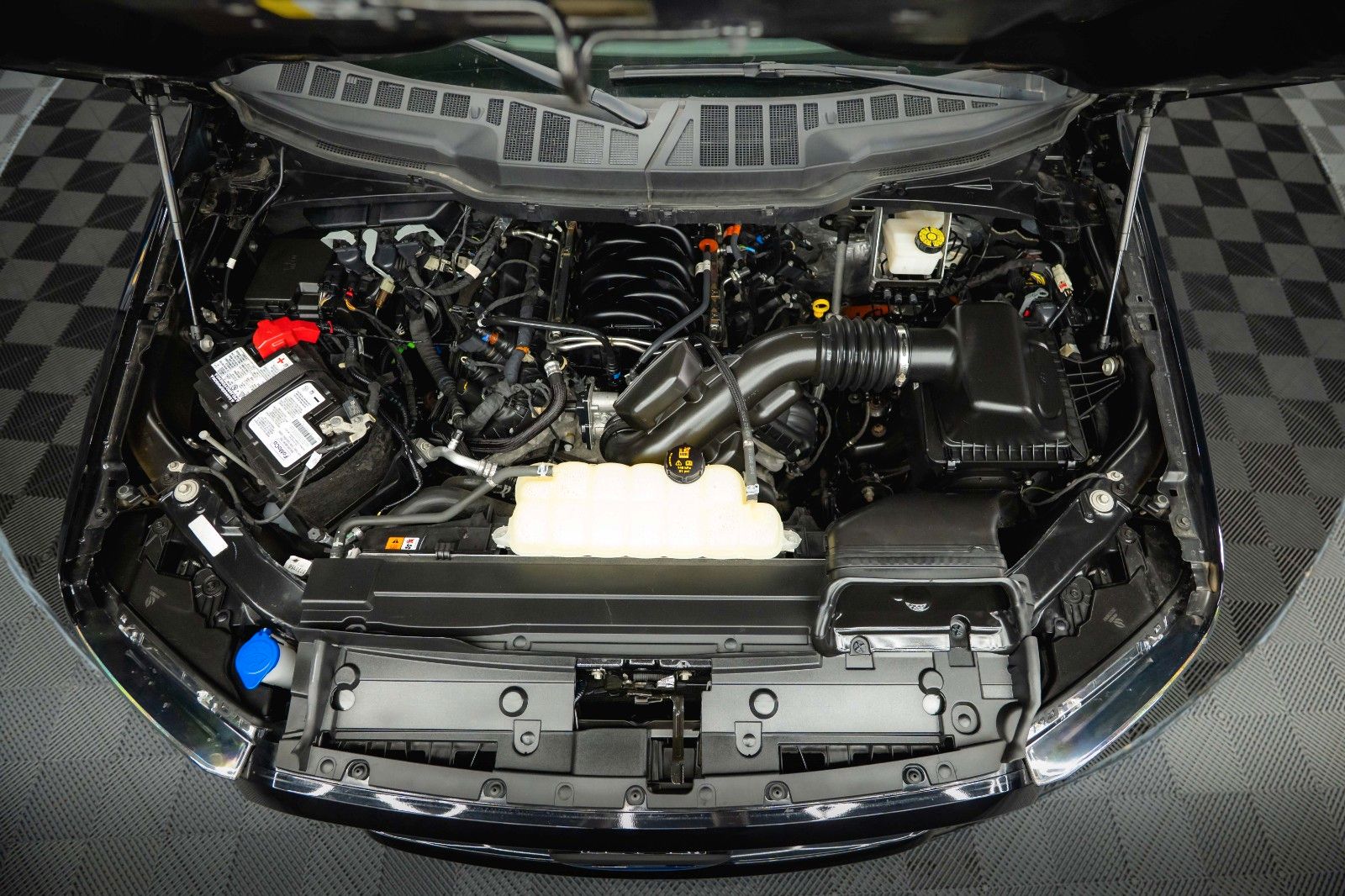 Fahrzeugabbildung Ford F150 5.0L V8 4x4 Offroad  SuperCrew RAPTOR 19%