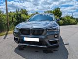 BMW X1 xDrive20d Steptronic  xLine - 8fach bereift - BMW: F ST