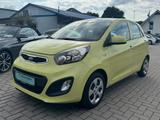 Kia Picanto Edition *Garantie*Lemongras*Klima*4tür* - Kia Picanto in Oldenburg