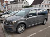 Volkswagen Caddy 1,4TSI 92kW BMT Maxi Family 7-Sitzer M... - Volkswagen Caddy: 9k