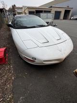 Pontiac Firebird Auto, Starke Gebrauchsspuren, kein Tüv - Pontiac Firebird: Cabrio