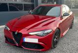 Alfa Romeo Giulia Quadrifoglio AT8 SPARCO Sitze - KEIN OPF! - Alfa Romeo Giulia Quadrifoglio Sparco Gebrauchtwagen
