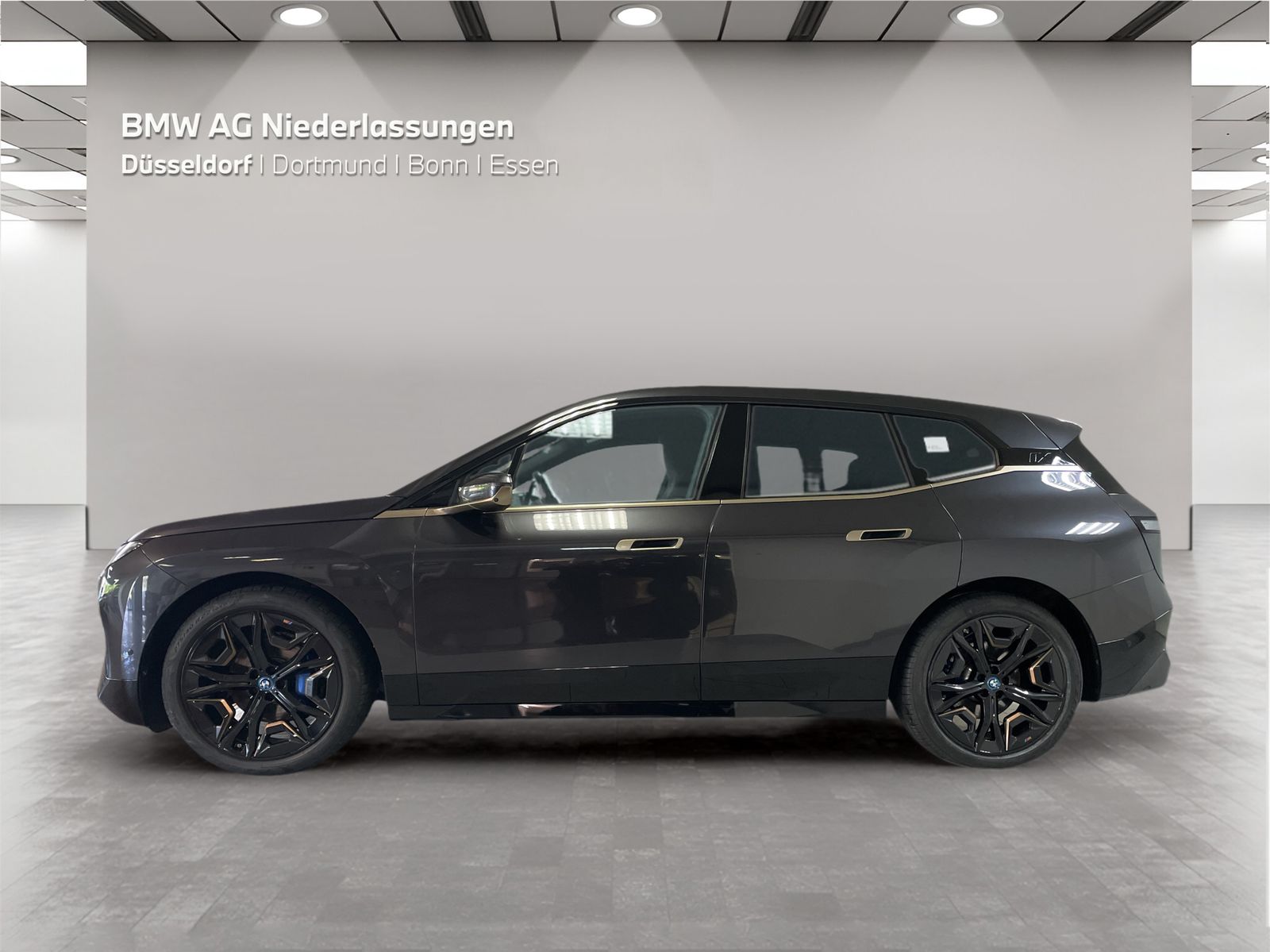 BMW iX xDrive40 Bowers & Wilkins AHK Driv.Assist foto 3