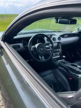 Ford Mustang 5.0 Ti-VCT V8 GT  - Ford Mustang in Hamm