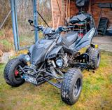 Adly Her Chee Online X 5.5 - LOF - Baugleich Adly - ADLY QUAD