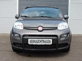 Fiat Panda Sport Mild Hybrid 1.HD+scheckheft HU NEU - Fiat Gebrauchtwagen von 2021