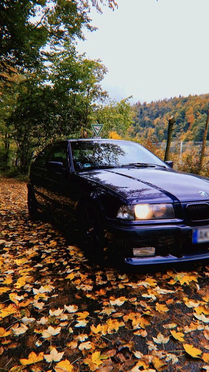 BMW 323