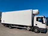 MAN TGL 12.250 BL / Thermo King - MAN Tgl