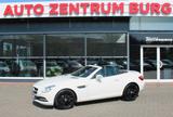 Mercedes-Benz SLK 200 Roadster BlueEffi Aut.Navi Leder BiXenon - : Weiß, Cabrio