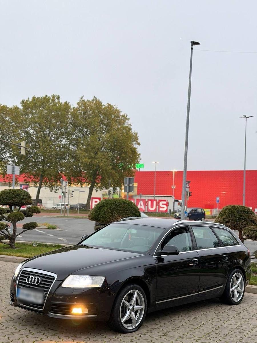 Audi Quattro 2010 — вигляд ззаду