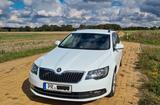 Skoda Superb 2.0 TDI Green tec DSG Ambition Combi ...