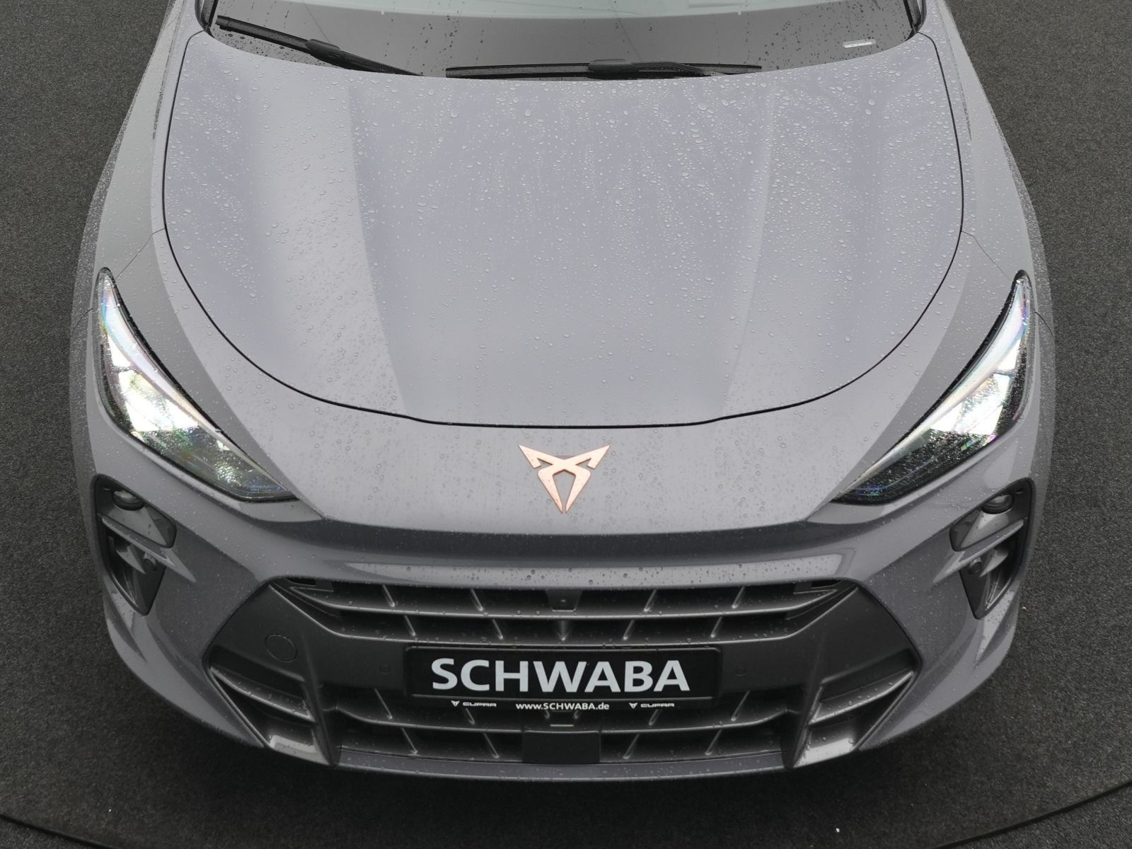 Cupra Terramar - Bild 28