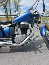 Suzuki Savage - Angebote