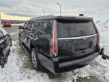Cadillac Escalade 6.2 V8 Platinum ESV Autom. Platinum - Cadillac Escalade Gebrauchtwagen