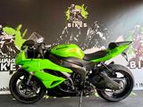 Kawasaki Zx*Zx6*Zx6r*zx600r*Shark*Service Neu* - KAWASAKI SPORTLER