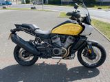 Harley-Davidson RH1250S Pan America Special 23 ARH Speichenräder