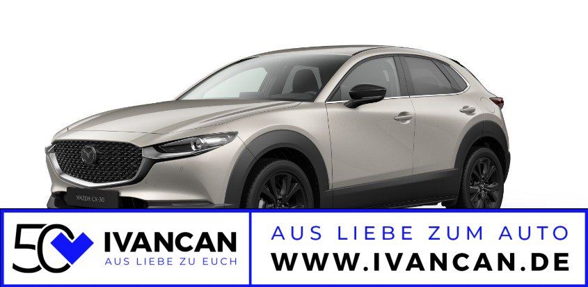 Fahrzeugabbildung Mazda CX-30 2.0 X 186PS Homura