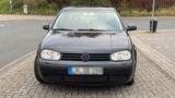Volkswagen VW Golf IV 1.6 Champ / AHK / Sitzheizung /... - Volkswagen Golf: Champ