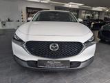 Mazda CX-30 SKYACTIV-X 2.0 186PS 6AG Selection Des-P P - Gebrauchtwagen in Leverkusen