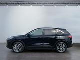 Ford Kuga Titanium X 2,5 PHEV CVT ACC KAM PDC - Ford Gebrauchtwagen in Osnabrück
