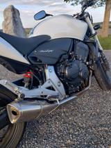 Honda Hornet CB 600 FA - TOP Zustand! - HONDA CB 600 F HORNET