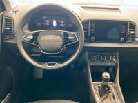 Skoda Karoq - Vorschau Bild 12